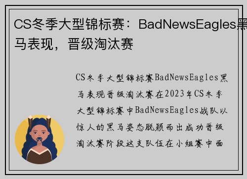 CS冬季大型锦标赛：BadNewsEagles黑马表现，晋级淘汰赛
